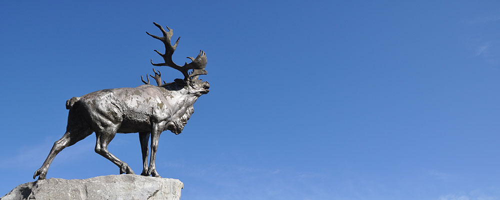 Mémorial Terre-Neuvien de Beaumont-Hamel